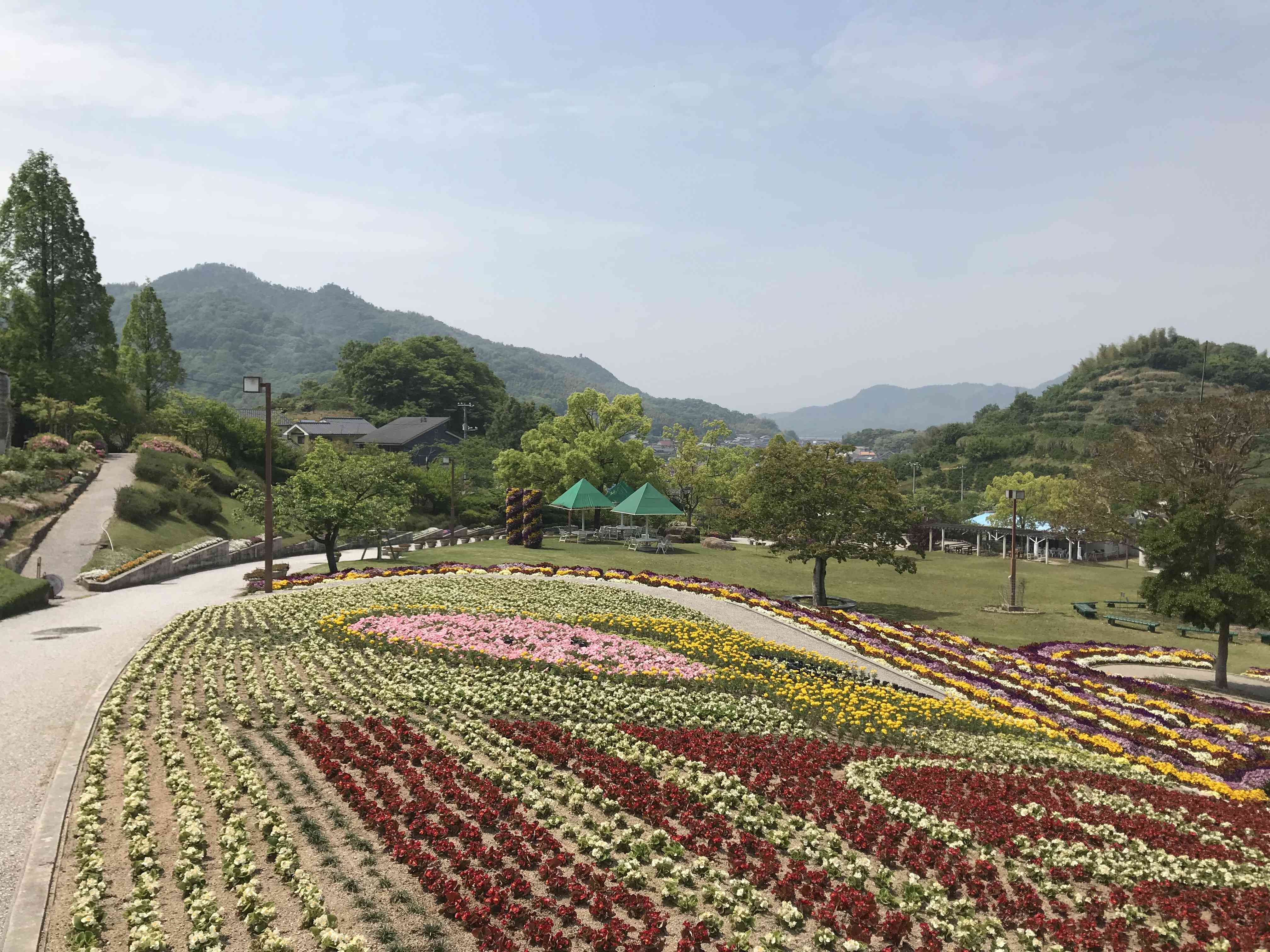 🌸 꽃 정원(인노시마 플라워 센터) 이미지 7